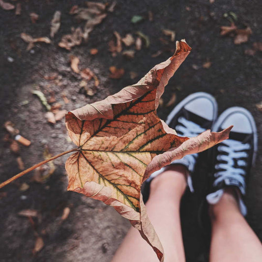 autumn leaf falling onto trainers